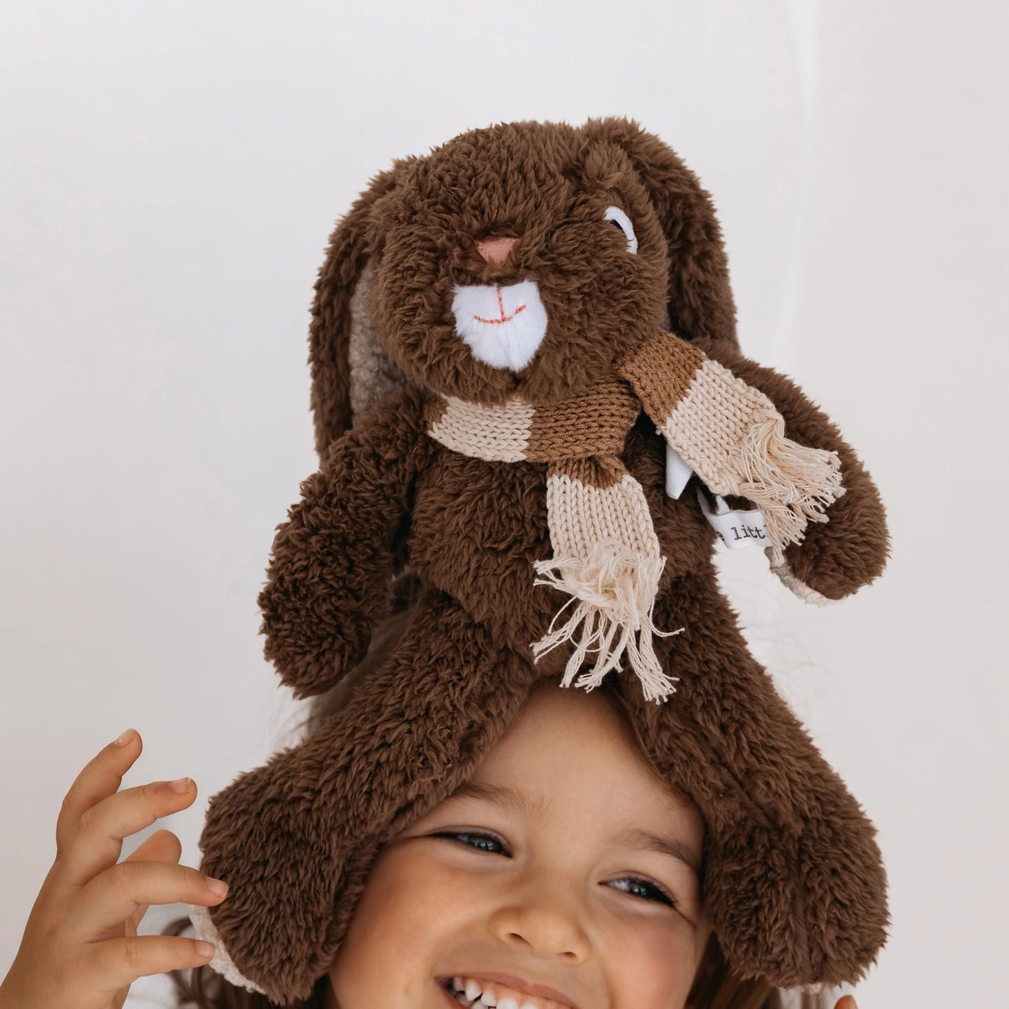And The Little Dog Laughed - 'Frankie' the Rabbit - Medium -the little haven