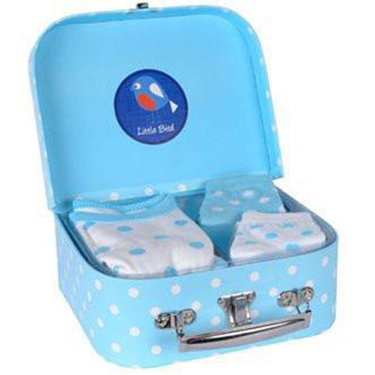 Little Bird Gift Case - Blue-the little haven